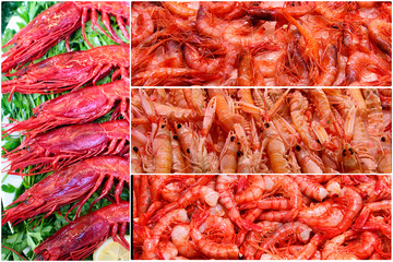 Prawns collage. Food background