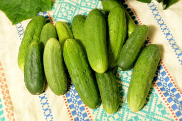 A few fresh cucumbers lie on an old tablecloth.