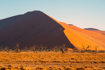 Fototapeta na wymiar red dunes desert