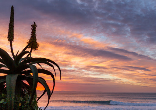 sunrise over waves rolling into super tubes at Jeffrey's bay