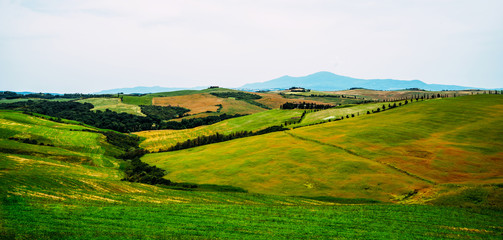 Traditional countryside and landscapes of beautiful Tuscany. Rolling hills golden colors and cypresses. Inspiring view. Italy. Vintage tone filter effect with noise and grain.