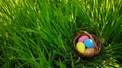 Colorful  Easter eggs hidden in the green grass. Easter egg hunt for kids. Happy easter.