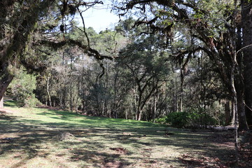 Fototapeta premium The beautiful landscape found in the Caracol Park in Canela in Rio Grande do Sul.