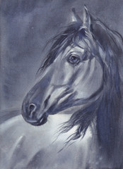 A horse portrait at night watercolor painting