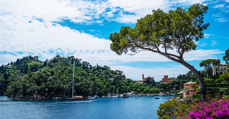 Fototapeta na wymiar Scenic picture-postcard view of famous with wonderful gulf, luxury villas in mediterranean garden, rock and boats, yachts in spectacular vacation resort, Portofino, Liguria, Italy, Europe.