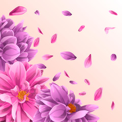 Dahlia with petals. copy space