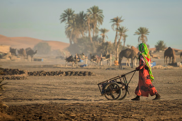  Marokkanische Frau transportiert Waren mit einer Schubkarre in der Wüste