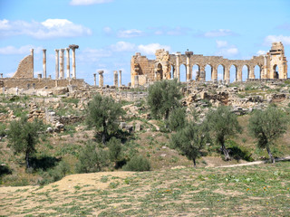 Fototapeta premium Morocco. Roman archeological site of Volubilis