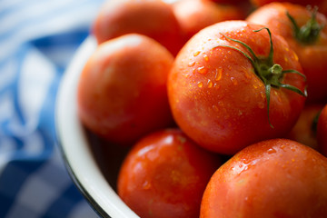 Fresh harvested homegrown red tomatoes from the garden