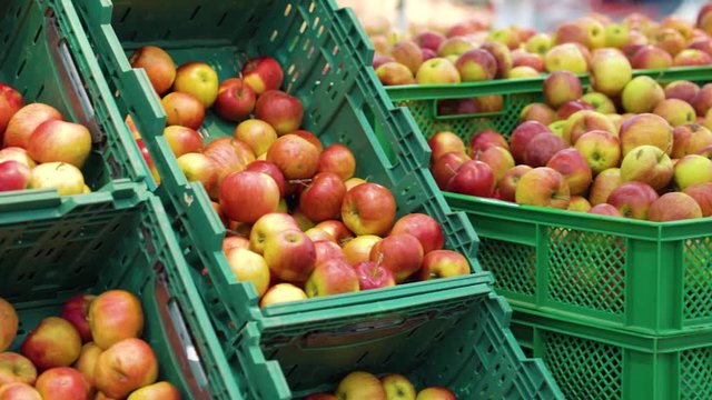 Fresh apples in plastic boxes at grocery store