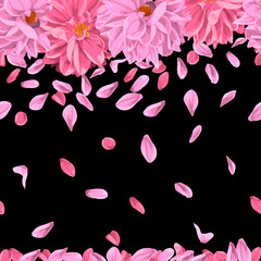 Dahlia flowers with petals on black. copy space
