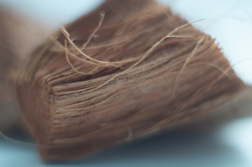 macro coconut peel beautiful home collection