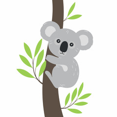 Koala in a flat cartoon style on a white background.