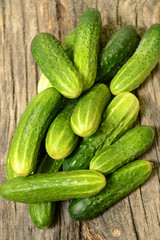 Fresh cucumbers lie together on a wooden table. The texture of green vegetables.