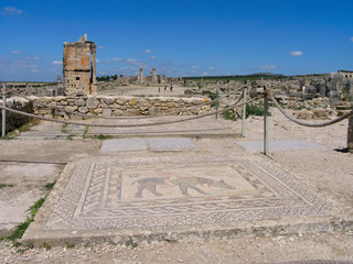 Obraz premium Morocco. Roman archeological site of Volubilis