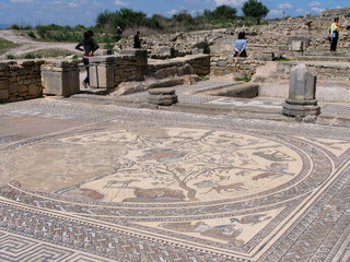 Obraz premium Morocco. Roman archeological site of Volubilis