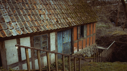 Photograph of an old shed in the woods