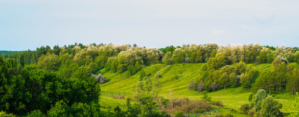 Beautiful rural landscape. Hills and grass. Natural outdoor travel background. Beauty world.