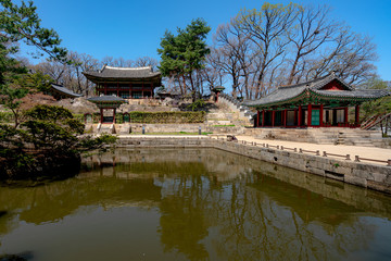 Fototapeta premium 서울 창덕궁 