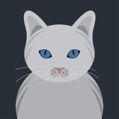 White cat pet portrait, vector
