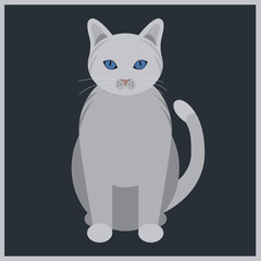 White cat with blue eyes, vector