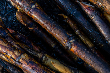 pile sugarcane burned in the harvest season, sugar cane fresh, sugarcane burn in field, sugar cane burned in plantation