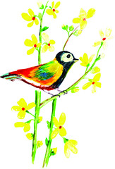 Beautiful Watercolor Exotic Bird Collection