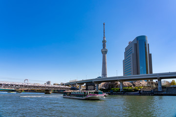 春の隅田川