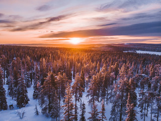 Charming winter sunset in Lapland