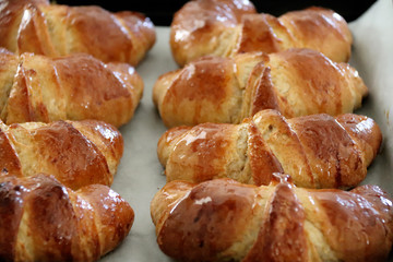 CROISSANT APPENA SFORNATI