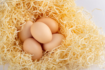 Eggs in the nest
