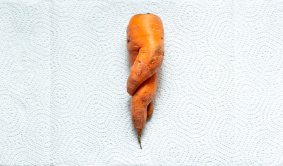 Top view of ugly deformed twisted carrot on a white paper background, ugly organic food, zero waste...
