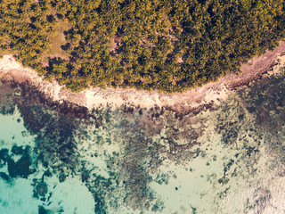 Aerial top down view of Daku Island tropical paradise white sand beach and coconut tree forest near Siargao island, Philippines.