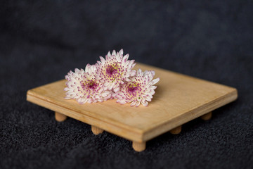 Still life with flowers