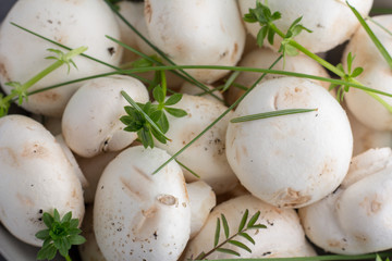 Close-Up Picture Of Group Of Fresh Champignons