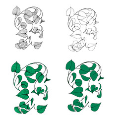 Set of branches of liana Isolated on a white background. Hand drawn.