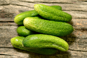 Several medium fresh cucumbers on a wooden table. The texture of green vegetables.