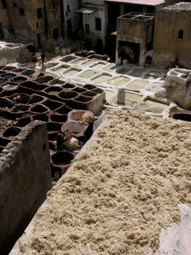 Morocco. Natural traditional tannery in Fez