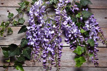 Fiori di glicine e rami di edera su fondale di legno. Natura morta primaverile.