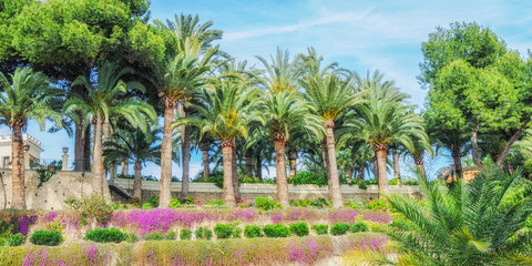 Fototapeta premium Summer background with sea and palm