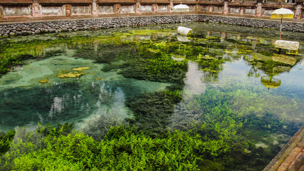 Obraz na płótnie Canvas Holy water spring in the Pura Tirta Empul, Bali. Bali, Indonesia
