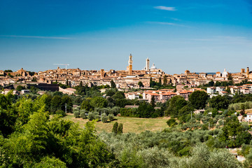 Fototapeta na wymiar medieval city of Siena in Tuscany
