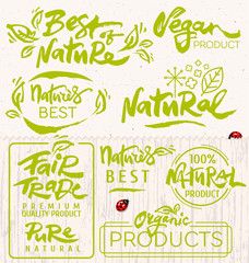 Vector Set of Hand Drawn Organic Icons, Elements and Badges