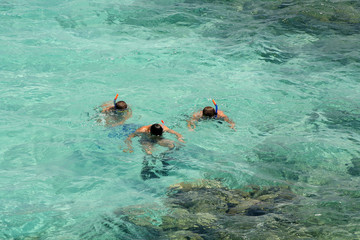 Diving in the Red Sea in Egypt © moniadk