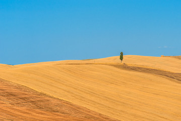 Obraz premium dream landscape in Tuscany in the hills of Siena