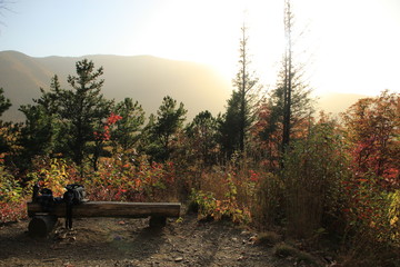 Obraz premium Smoky Mountains