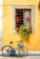 Fototapeta na wymiar blue bike on a yellow wall with a flowered window in florence, italy 