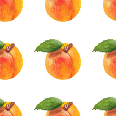 whole ripe apricot with leaf seamless print isolated on white. Hand-drawn apricot squared raster seamless pattern. Orange juicy fruit drawn in gouache paint in a realistic style.