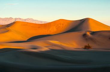 Fototapeta na wymiar View of the sand dunes at sunrise, Death Valley National Park.