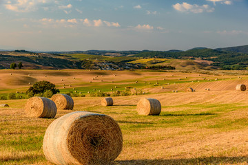 Summer in the D'Orcia valley in Tuscany in the town of Pienza © DD25